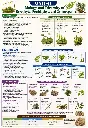 ChatGPT Image May 14, 2026, 08_29_18 PM.webp
